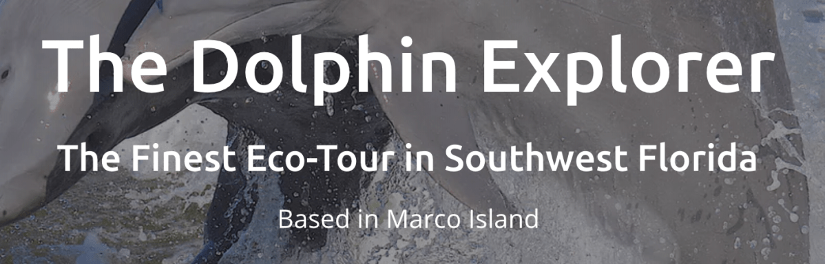 Screen-Shot-2019-03-04-at-4.46.13-PM